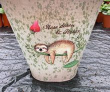 empty sloth pot